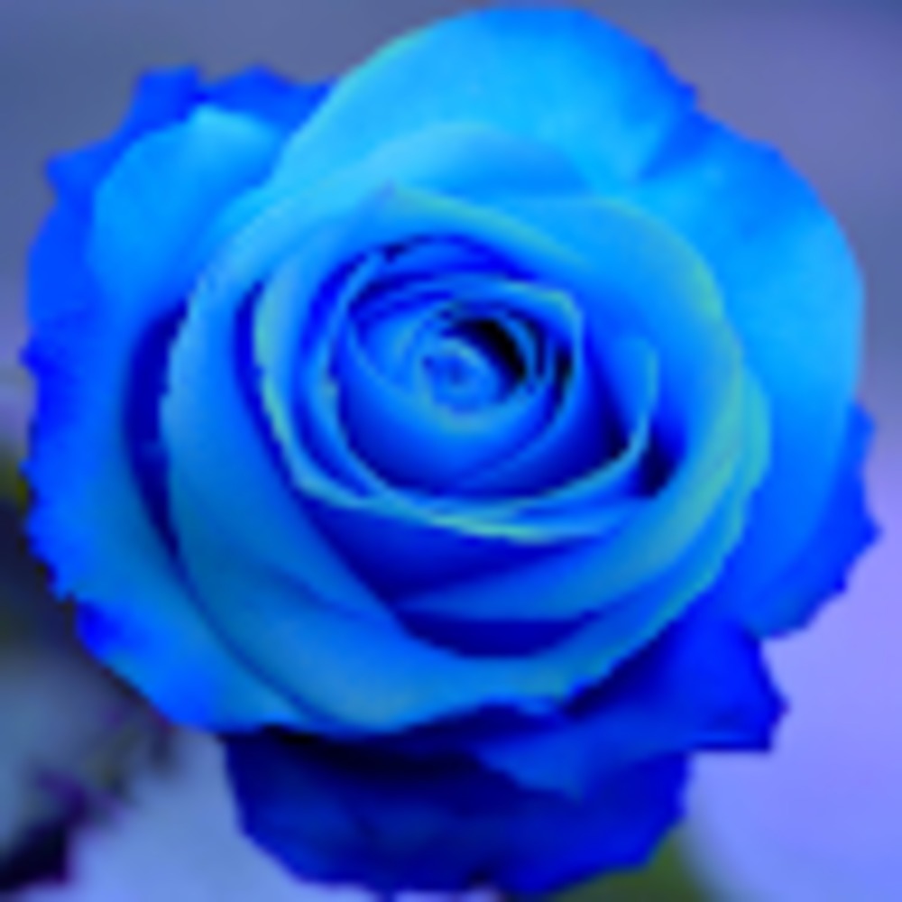 Meet your Posher, Margarita